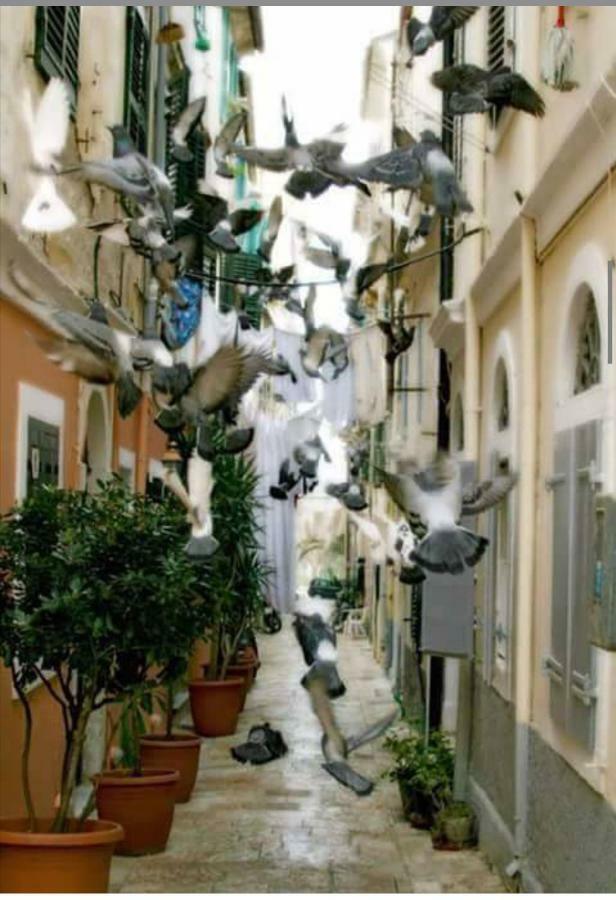 Apartamento Roof Garden House Corfu  Exterior foto